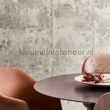 Platinum ash behaang 85508 fabrieken Arte