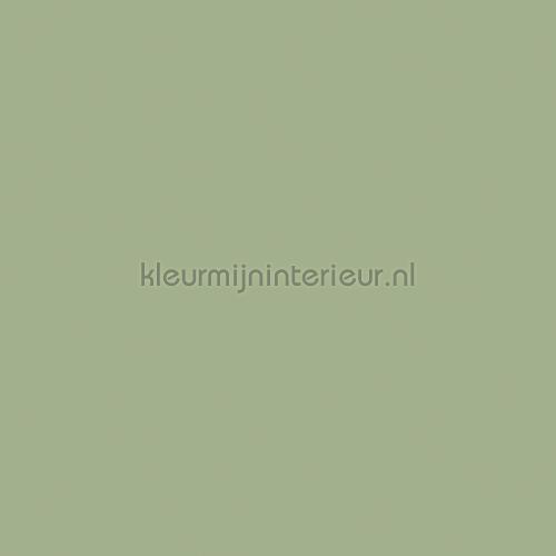 Uni groen tapeten Industrieel Kleurmijninterieur