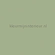 Uni groen behang Kleurmijninterieur uni kleuren 