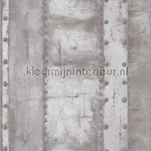 staal met nagels carta da parati Kleurmijninterieur Tutti-immagini