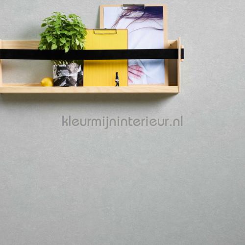 kmi620 papier peint industrielle Kleurmijninterieur