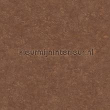 Rough uni wall behaang Kleurmijninterieur van vruuger 