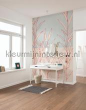 Plain papier murales Komar PiP studio wallpaper 