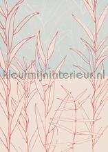 Plain papier murales Komar PiP studio wallpaper 