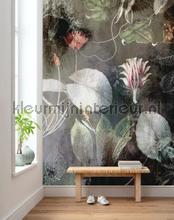 Night flowers papier murales Komar PiP studio wallpaper 