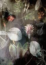 Night flowers fotomurales Komar PiP studio wallpaper 