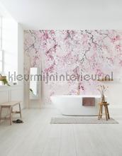 Kirschbluten fotomurales Komar PiP studio wallpaper 