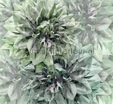 Emerald flowers fototapet Komar stemning 