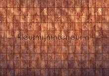 Erosion photomural Komar world maps 