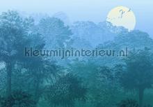 Deep in the jungle fotomurali Komar Sun Mare Spiaggia 