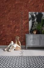 Red slate tiles photomural Komar world maps 