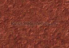 Red slate tiles photomural Komar world maps 
