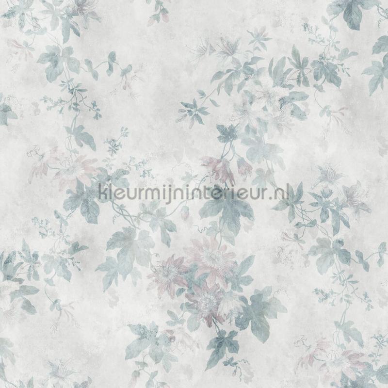 Faded passion pastel fotomurali 623-16 Fiori - Pianta Sandberg