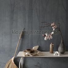 Skog misty blue fottobehaang Sandberg _intrieur 