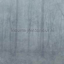 Skog misty blue fotomurali Sandberg Sun Mare Spiaggia 