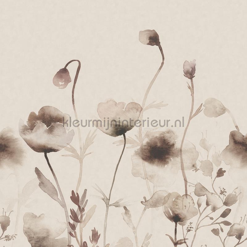 Morngen hazel fotomurali S10107 Fiori - Pianta Sandberg