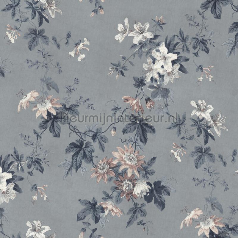 Faded passion misty blue fotomurali S10133 Fiori - Pianta Sandberg