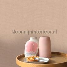 Mat beige rose fonce papel pintado Caselio papel pintado Top 15 