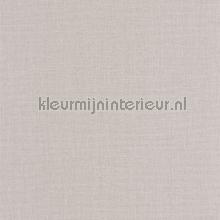 Mat taupe clair behang Caselio uni kleuren 