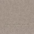 Diola taupe papier peint 75150814 couleurs unies Motifs