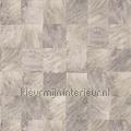 Abale gris cendre papel de parede 75173062 Exótico Estilos