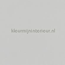 licht grijs gestructureerd papier peint AS Creation Karl Lagerfeld 378835