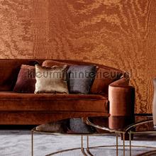 Moire Sunset orange papel pintado Arte Vendimia Viejo 