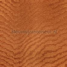 Moire Sunset orange papel pintado Arte Vendimia Viejo 