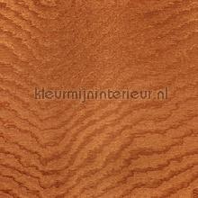 Moire Sunset orange tapet Arte uni farver 