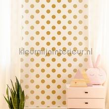 Gold Dotty Wallpapier papier peint behaang 100105 stippe Noordwand