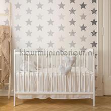 Superstar Silver Wallpapier papier peint behaang 100111 sterre Noordwand