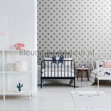 Silver Dotty carta da parati 102508 punti Noordwand