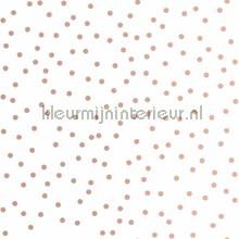 Confetti Rose Gold behaang 105133 durskes Noordwand