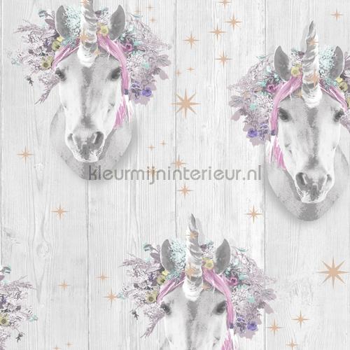 Unicorn behaang 105977 durskes Noordwand