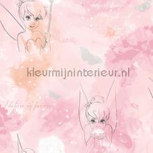 Tinkerbell Watercolour behaang 106454 durskes Noordwand