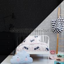 Constellation Grey Glow in the Dark behang 108014 sterren Noordwand