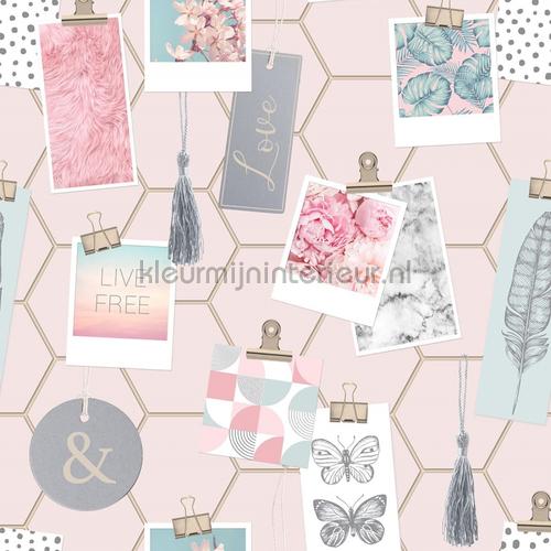 Clip Frames Pink wallcovering 108137 girls Noordwand