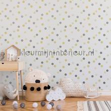 Dotty Polka Yellow Silver behaang 108264 durskes Noordwand