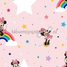 Rainbow Minnie behang 108592 meisjes Noordwand