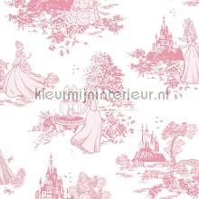 Pricess Pink Toile tapeten Noordwand weltraum 