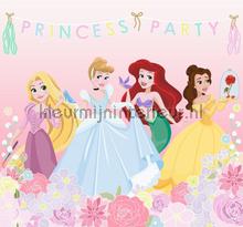 Princess Party Mural tapeten Noordwand weltraum 