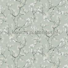Haru meadow papel pintado Khroma Kimono KIM108