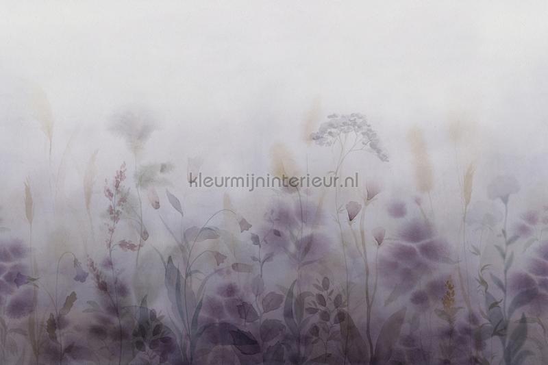 Vilda dawn fotomurali 662-25 Fiori - Pianta Sandberg