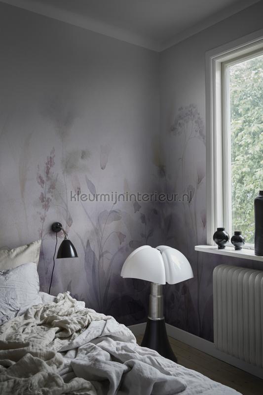 Vilda dawn fotomurali 662-25 Fiori - Pianta Sandberg