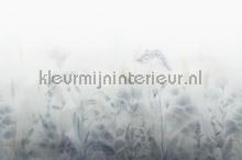 Vilda misty blue photomural Sandberg all images 