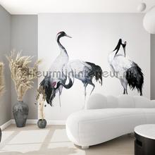 Fotobehang met kraanvogels fotomurais Noordwand telhas 