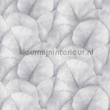 Fotobehang met grote bladeren fototapet Noordwand Kumano 34598