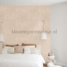 Jardin des pierres beige sable behang Casadeco Exotisch 
