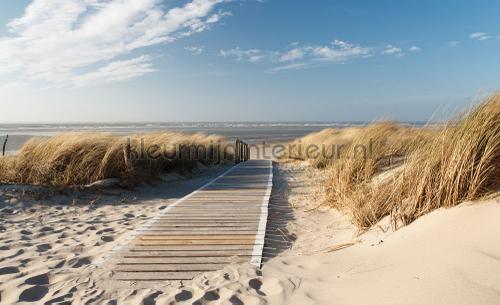 Plaza beach soft colored fotobehang Zon - Zee - Strand Kleurmijninterieur