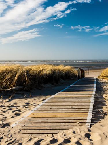 Walk through the dunes fototapet Sol - Hav - Strand Kleurmijninterieur